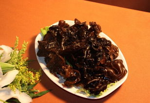 	清（qīng）肺食譜去除五（wǔ）髒六腑的垃圾（jī）